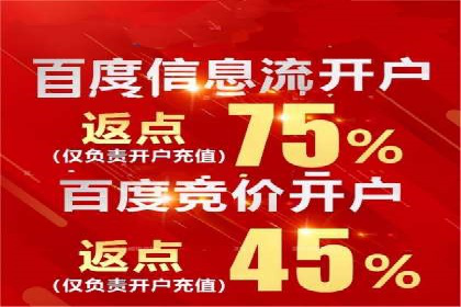 SEM托管公司案例：优化与增长